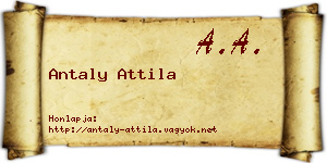 Antaly Attila névjegykártya